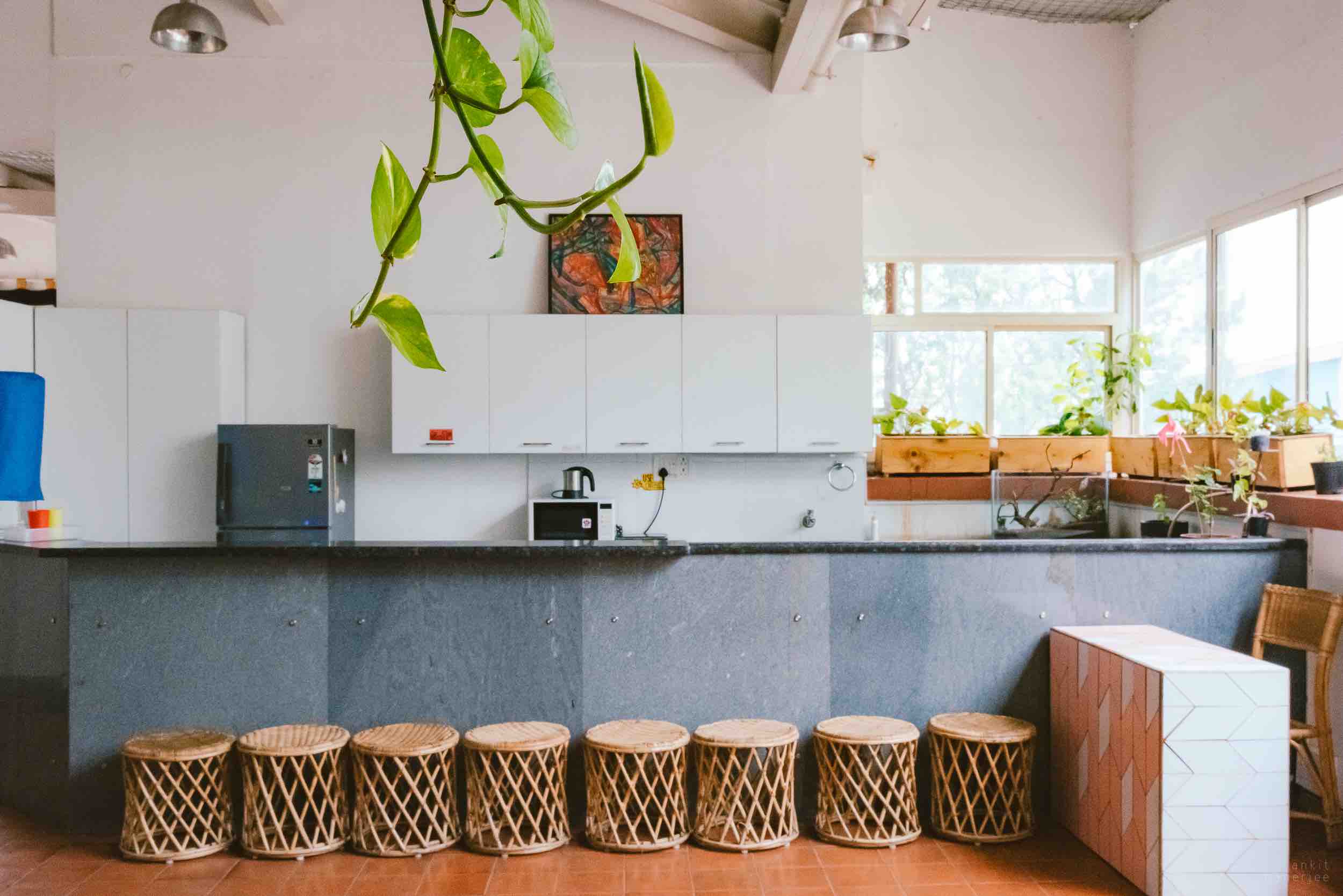 Shoonya Kitchen